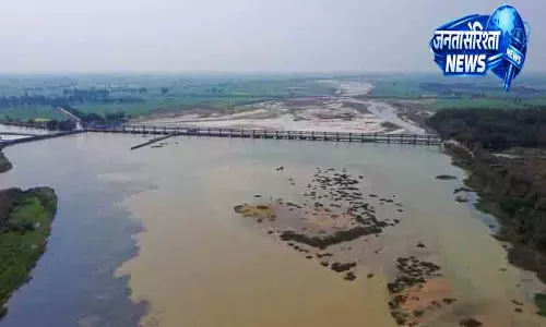 Ferozepur सतलुज में प्रदूषण गहराने से हरिके वेटलैंड खतरे में Ferozepur सतलुज में प्रदूषण गहराने से हरिके वेटलैंड खतरे में
