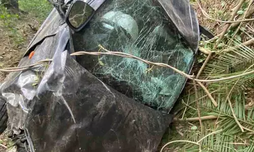 Kangra में ढहता ढांचा और आवारा मवेशी बने खतरा