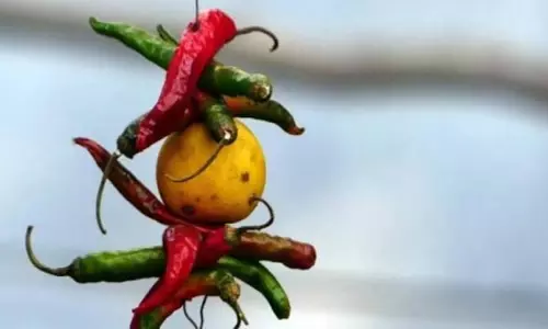 Astro Tips: भूलकर भी न उठाएं सड़क पर पड़ी ये चीजें, आ सकती है मुसीबत