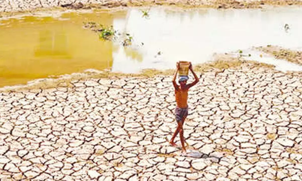 Telangana: सरकार संभावित सूखे की स्थिति से निपटने के लिए वैकल्पिक इंतजाम कर रही है Telangana: सरकार संभावित सूखे की स्थिति से निपटने के लिए वैकल्पिक इंतजाम कर रही है
