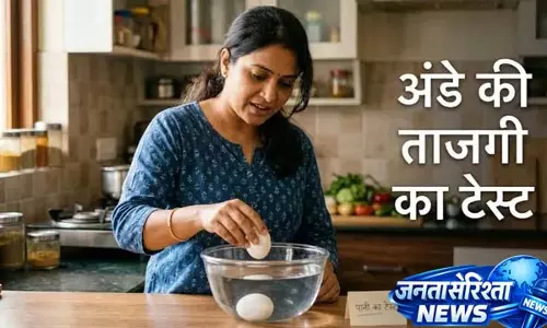 पानी में तैरता अंडा खराब होता है या नहीं? फेंकने से पहले जान लें यह सच पानी में तैरता अंडा खराब होता है या नहीं? फेंकने से पहले जान लें यह सच