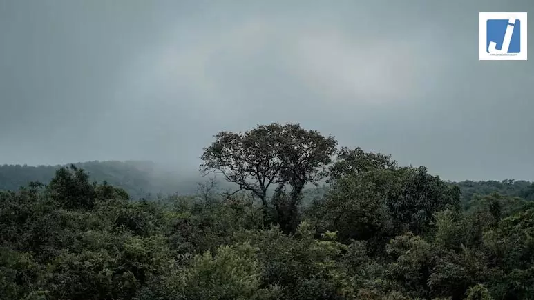 छत्तीसगढ़ में लापता हो गया मॉनसून...जानें मौसम का लेटेस्ट अपडेट छत्तीसगढ़ में लापता हो गया मॉनसून...जानें मौसम का लेटेस्ट अपडेट