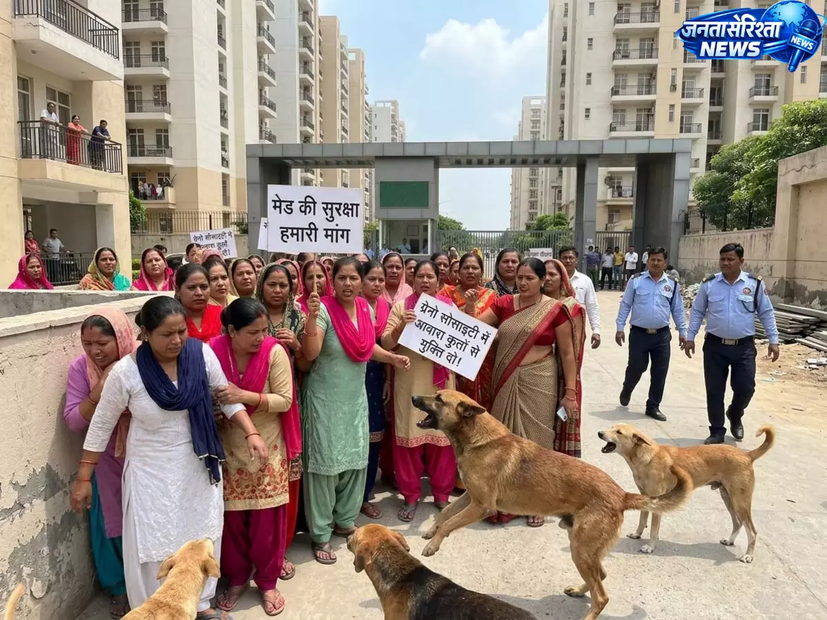 ग्रेटर नोएडा वेस्ट में आवारा कुत्तों को लेकर हंगामा, घरेलू सहायिकाओं ने काम छोड़ा ग्रेटर नोएडा वेस्ट में आवारा कुत्तों को लेकर हंगामा, घरेलू सहायिकाओं ने काम छोड़ा