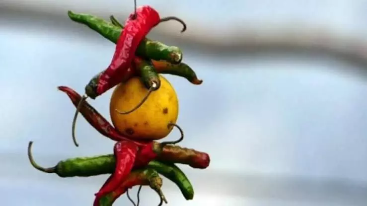 Astro Tips: भूलकर भी न उठाएं सड़क पर पड़ी ये चीजें, आ सकती है मुसीबत Astro Tips: भूलकर भी न उठाएं सड़क पर पड़ी ये चीजें, आ सकती है मुसीबत