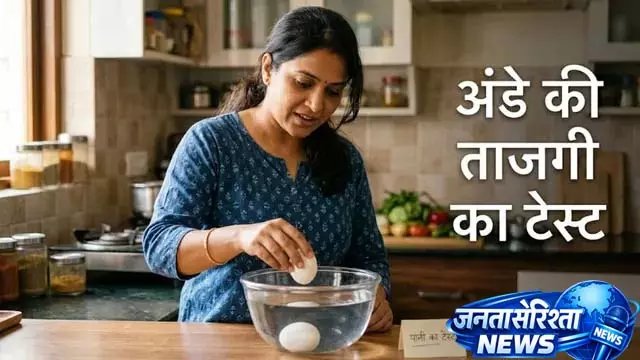 पानी में तैरता अंडा खराब होता है या नहीं? फेंकने से पहले जान लें यह सच पानी में तैरता अंडा खराब होता है या नहीं? फेंकने से पहले जान लें यह सच