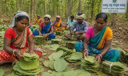 ओडिशा में केंदू पत्ता श्रमिकों को बड़ा तोहफा, CM ने बोनस और इंसेंटिव को दी मंजूरी