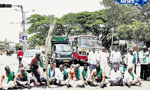 KRS जलाशय से सिंचाई पानी की मांग तेज, मांड्या में किसानों का प्रदर्शन