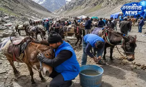 अमरनाथ यात्रा में पशु सेवा, 10 हजार घोड़े-खच्चरों को रोज मिल रहा चारा