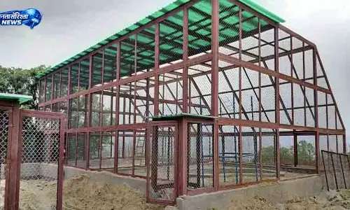 Himachal का आगामी वन्यजीव आश्चर्य, पर्यटन को मिलेगा बढ़ावा Himachal का आगामी वन्यजीव आश्चर्य, पर्यटन को मिलेगा बढ़ावा