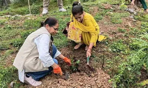 वृक्षारोपण अभियान से Shimla गांव को हरा-भरा बढ़ावा मिला वृक्षारोपण अभियान से Shimla गांव को हरा-भरा बढ़ावा मिला