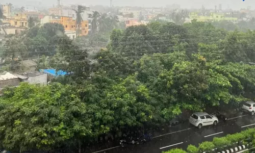 ओडिशा में भारी बारिश का अलर्ट, IMD ने कई जिलों के लिए जारी की रेड वॉर्निंग ओडिशा में भारी बारिश का अलर्ट, IMD ने कई जिलों के लिए जारी की रेड वॉर्निंग