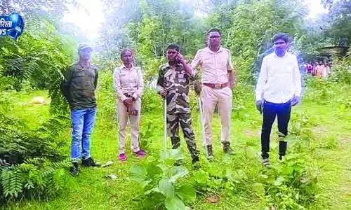 Nabarangpur भालू ने बकरी चराने वाले को मार डाला