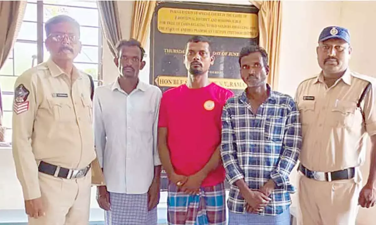 Andhra: लाल चंदन की तस्करी के लिए तीन लोगों को 5 साल की सज़ा सुनाई गई Andhra: लाल चंदन की तस्करी के लिए तीन लोगों को 5 साल की सज़ा सुनाई गई