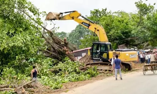सिवान में 10 हजार से ज्यादा पेड़ों का होगा पुनर्स्थापन सिवान में 10 हजार से ज्यादा पेड़ों का होगा पुनर्स्थापन