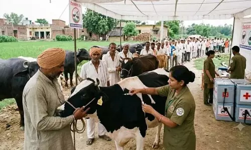 पशुओं की सुरक्षा के लिए यूपी का बड़ा वैक्सीनेशन अभियान