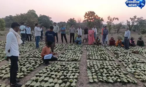 साय सरकार के सुशासन में तेन्दूपत्ता संग्राहकों को मिली आर्थिक मजबूती