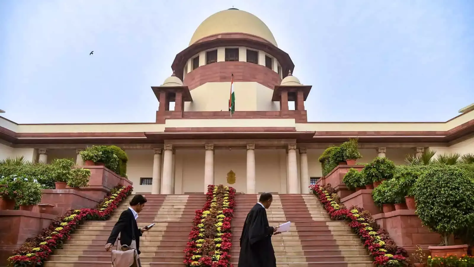 Telangana ASO भर्ती: SC का बड़ा फैसला, BTech डिग्रीधारक नहीं होंगे पात्र Telangana ASO भर्ती: SC का बड़ा फैसला, BTech डिग्रीधारक नहीं होंगे पात्र