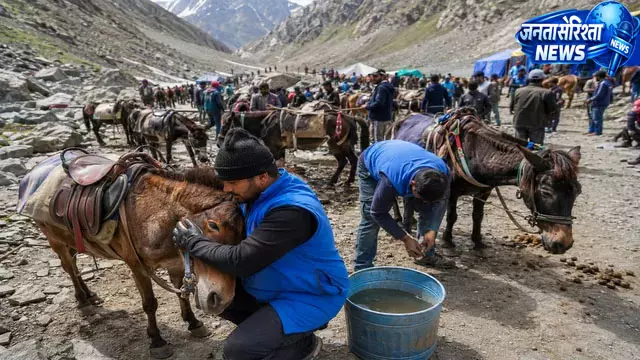 अमरनाथ यात्रा में पशु सेवा, 10 हजार घोड़े-खच्चरों को रोज मिल रहा चारा अमरनाथ यात्रा में पशु सेवा, 10 हजार घोड़े-खच्चरों को रोज मिल रहा चारा