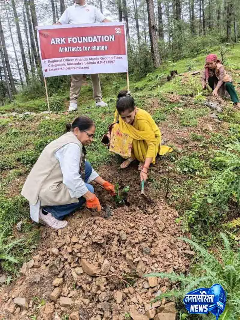 वृक्षारोपण अभियान से Shimla गांव को हरा-भरा बढ़ावा मिला वृक्षारोपण अभियान से Shimla गांव को हरा-भरा बढ़ावा मिला