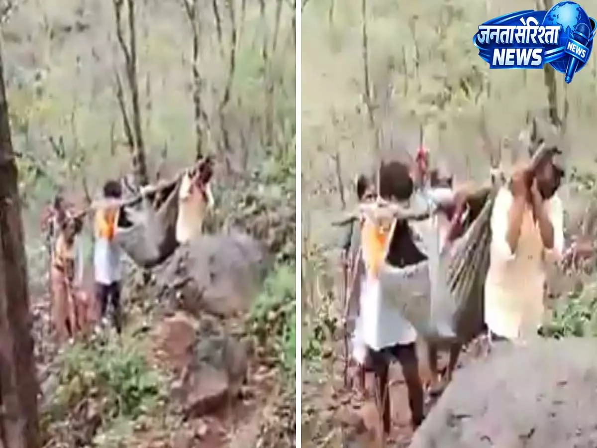 मुंबई के पास सड़क न होने से गर्भवती महिला को स्लिंग में उठाकर अस्पताल ले गए ग्रामीण, वीडियो वायरल मुंबई के पास सड़क न होने से गर्भवती महिला को स्लिंग में उठाकर अस्पताल ले गए ग्रामीण, वीडियो वायरल