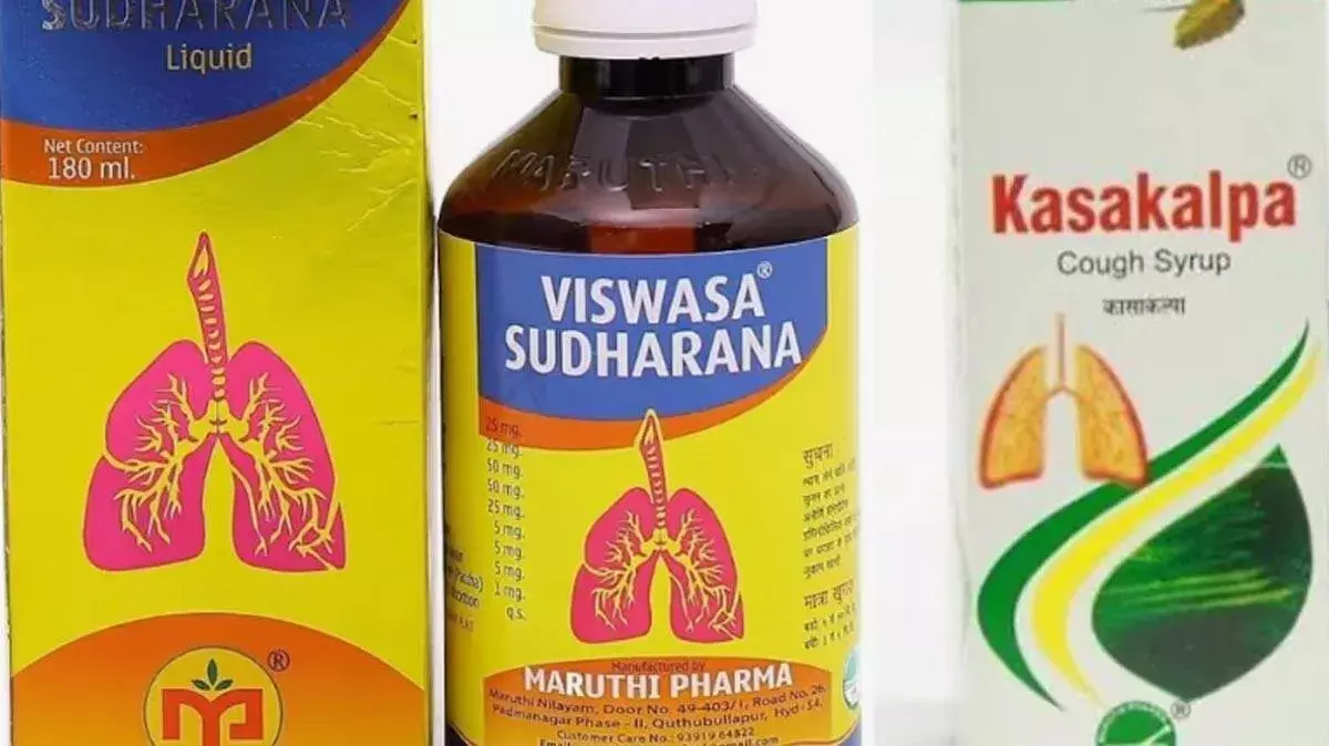 केरल ने घटिया आयुर्वेदिक दवाओं की बिक्री और वितरण पर रोक लगाई: उत्पादों की पूरी सूची केरल ने घटिया आयुर्वेदिक दवाओं की बिक्री और वितरण पर रोक लगाई: उत्पादों की पूरी सूची