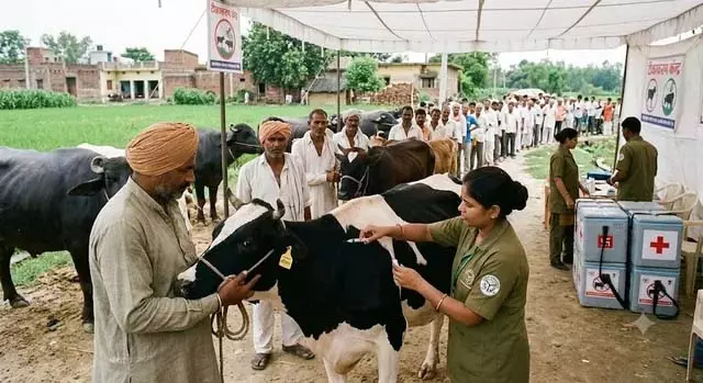 पशुओं की सुरक्षा के लिए यूपी का बड़ा वैक्सीनेशन अभियान पशुओं की सुरक्षा के लिए यूपी का बड़ा वैक्सीनेशन अभियान