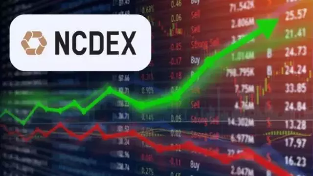 कमोडिटी बाजार में नया विकल्प, NCDEX पर ग्वार कोरमा फ्यूचर्स लॉन्च कमोडिटी बाजार में नया विकल्प, NCDEX पर ग्वार कोरमा फ्यूचर्स लॉन्च