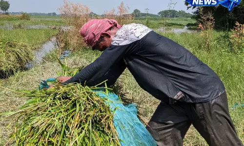खेत में काम कर रहा था युवक, कॉलेज ने उसके नाम पर हड़प ली छात्रवृत्ति खेत में काम कर रहा था युवक, कॉलेज ने उसके नाम पर हड़प ली छात्रवृत्ति