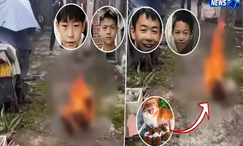 चीन में कथित पशु क्रूरता से मचा बवाल, वायरल वीडियो के बाद कड़ी कार्रवाई की मांग चीन में कथित पशु क्रूरता से मचा बवाल, वायरल वीडियो के बाद कड़ी कार्रवाई की मांग