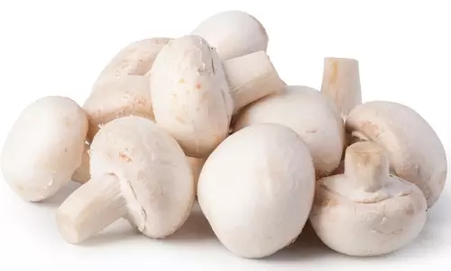 White मशरूम असली है या खराब? ऐसे करें पहचान