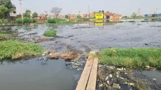 Faridabad: जलभराव पर सख्त हुई एसडीएम कोर्ट, इंजीनियरों को पेश होने के आदेश