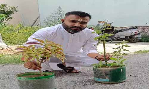 थप्पड़ कांड के बाद गरमाया मामला, व्यापारी नेता ने लगाए दो पौधे
