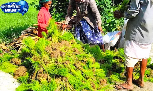 Kerala : बारिश की कमी से धान की बुआई पर संकट