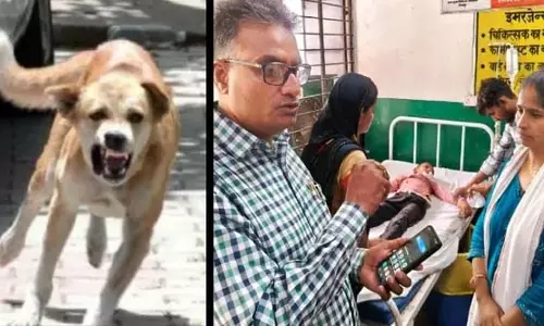 चित्रकूट के सरकारी स्कूल में दहशत, कुत्ते ने बच्चों को बनाया शिकार चित्रकूट के सरकारी स्कूल में दहशत, कुत्ते ने बच्चों को बनाया शिकार