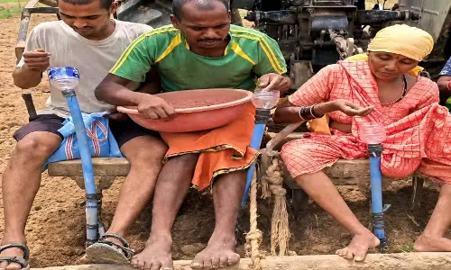 राष्ट्रीय खाद्य तेल मिशन योजना से मिली गुणवत्ता युक्त बीज की सौगात राष्ट्रीय खाद्य तेल मिशन योजना से मिली गुणवत्ता युक्त बीज की सौगात