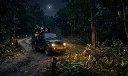 सुप्रीम कोर्ट की हरी झंडी, नाइट सफारी का रास्ता साफ सुप्रीम कोर्ट की हरी झंडी, नाइट सफारी का रास्ता साफ