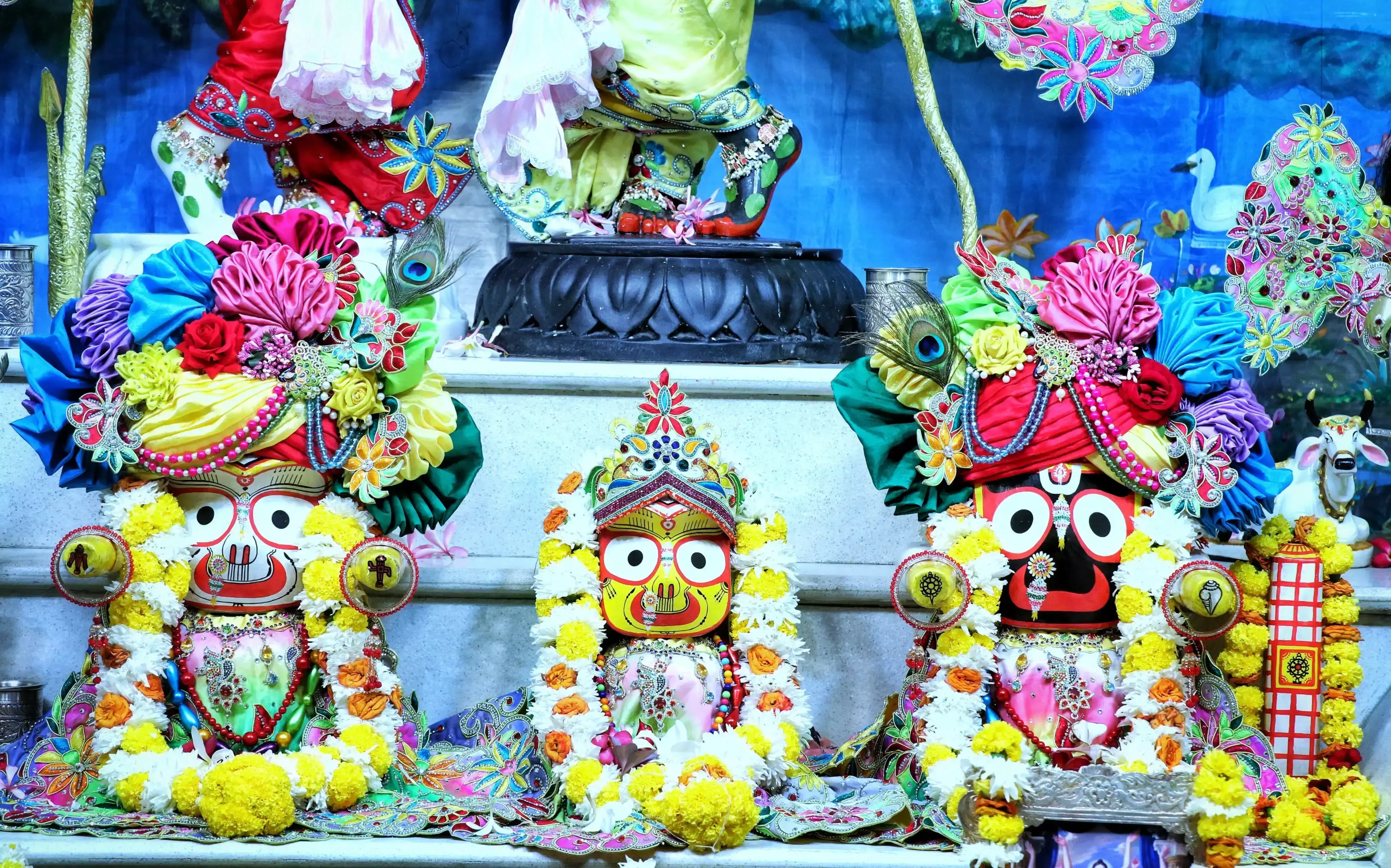 Jaipur: श्रद्धा का अद्भुत नजारा, मौसी के घर पहुंचने से पहले हुई साफ-सफाई Jaipur: श्रद्धा का अद्भुत नजारा, मौसी के घर पहुंचने से पहले हुई साफ-सफाई