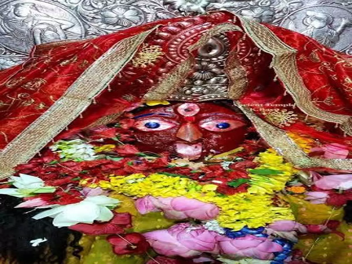 पश्चिम बंगाल के प्रसिद्ध नलहाटेश्वरी शक्तिपीठ में वार्षिक अनुष्ठान की तैयारियां, जानें पूरी प्रक्रिया पश्चिम बंगाल के प्रसिद्ध नलहाटेश्वरी शक्तिपीठ में वार्षिक अनुष्ठान की तैयारियां, जानें पूरी प्रक्रिया