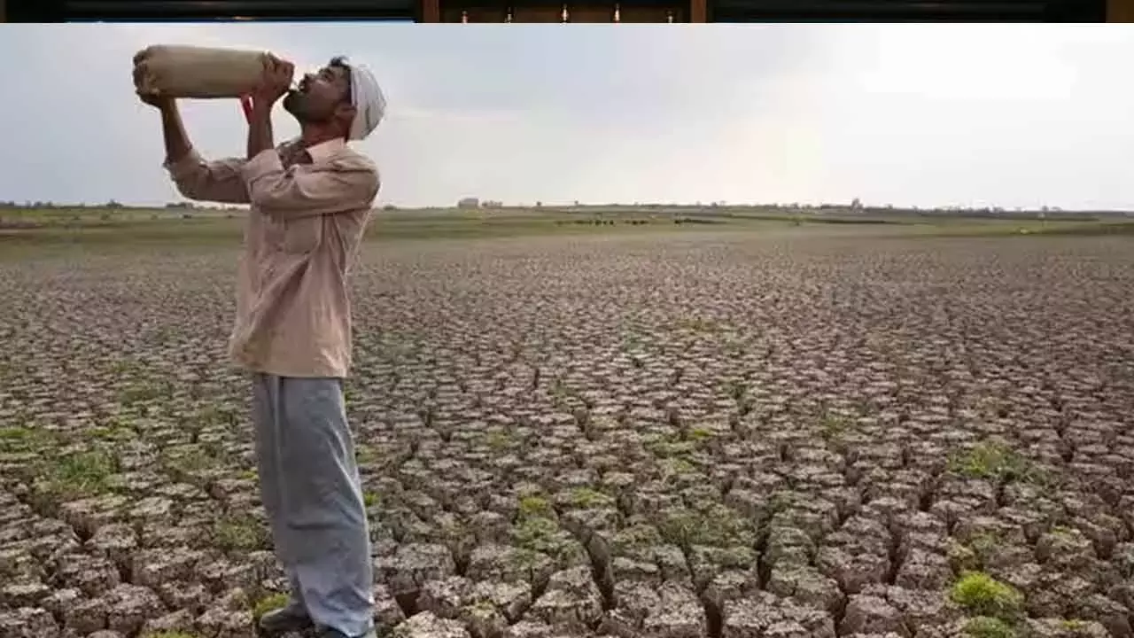 बारिश की कमी: किसानों को कम पानी वाली फसलें उगाने की सलाह दी गई है बारिश की कमी: किसानों को कम पानी वाली फसलें उगाने की सलाह दी गई है
