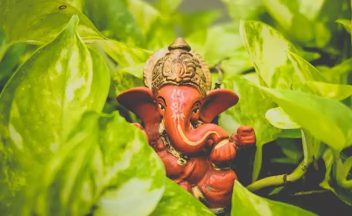 Budhwar Ke Upay: बुधवार को करें ये काम, बप्पा दूर करेंगे हर परेशानी Budhwar Ke Upay: बुधवार को करें ये काम, बप्पा दूर करेंगे हर परेशानी