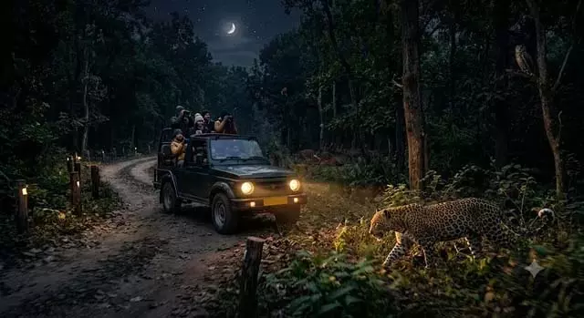 सुप्रीम कोर्ट की हरी झंडी, नाइट सफारी का रास्ता साफ सुप्रीम कोर्ट की हरी झंडी, नाइट सफारी का रास्ता साफ