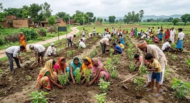 यूपी में औषधीय पौधों की पहल, हर जिले को मिलेगा चरक वन यूपी में औषधीय पौधों की पहल, हर जिले को मिलेगा चरक वन