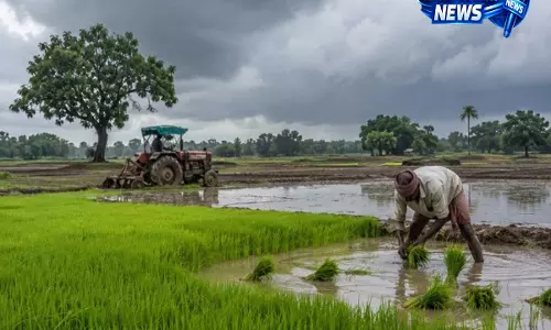 झारखंड के गढ़वा में किसानों को 50% सब्सिडी, मूंग-अरहर की खेती को मिलेगा बढ़ावा झारखंड के गढ़वा में किसानों को 50% सब्सिडी, मूंग-अरहर की खेती को मिलेगा बढ़ावा