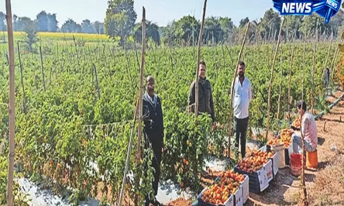 पश्चिमी चंपारण में मल्टी लेयर खेती मॉडल से किसानों की आय होगी तीन गुना तक पश्चिमी चंपारण में मल्टी लेयर खेती मॉडल से किसानों की आय होगी तीन गुना तक
