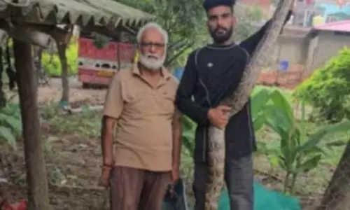 बत्तख को 12 फीट लंबे अजगर ने बनाया निवाला, फार्म हाउस से किया गया रेस्क्यू बत्तख को 12 फीट लंबे अजगर ने बनाया निवाला, फार्म हाउस से किया गया रेस्क्यू