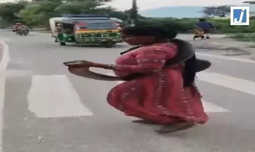 OMG! घर में 10 फीट लंबा जहरीला किंग कोबरा, उसके बाद... OMG! घर में 10 फीट लंबा जहरीला किंग कोबरा, उसके बाद...