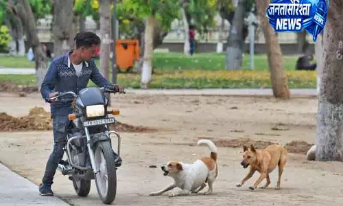 Punjab में कुत्तों का बढ़ता आतंक Punjab में कुत्तों का बढ़ता आतंक