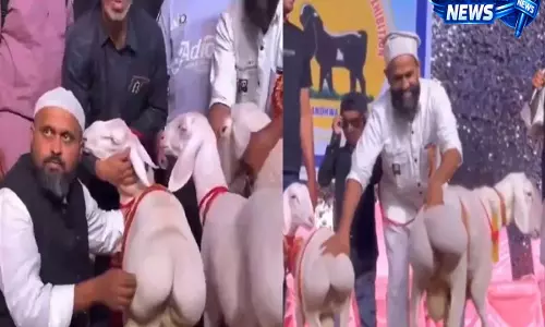 Video : पाकिस्तान के कथित बकरी ब्यूटी कॉन्टेस्ट का वीडियो वायरल, सोशल मीडिया पर भड़के लोग
