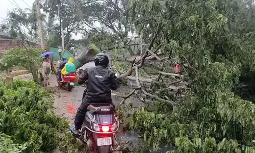 पुरी-सतपाड़ा NH-316 पर एक विशाल पेड़ गिरा, रथ यात्रा के बीच सड़क बंद पुरी-सतपाड़ा NH-316 पर एक विशाल पेड़ गिरा, रथ यात्रा के बीच सड़क बंद