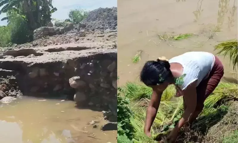 Assam: लखीमपुर में सेसा नदी में अचानक आई बाढ़ से सड़कें क्षतिग्रस्त, गांव जलमग्न Assam: लखीमपुर में सेसा नदी में अचानक आई बाढ़ से सड़कें क्षतिग्रस्त, गांव जलमग्न